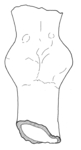 L_W12c2428 A12.0030 J720 cw